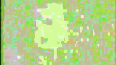 Old school anime toon with bikini beach babes