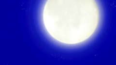 Wow, that cuties have really big and nice boobs