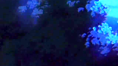 Spectacular animated cartoon with young and handsome babes