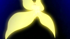 Monsters, weird creatures and lovely girls