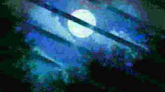 Young girl looks sexy with a cock in her mouth