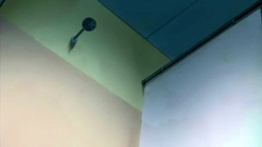 Young and petite babes in fantastic hentai cartoon