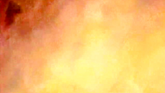 Animated hentai world full of danger and adventures