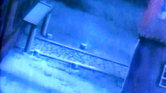 Handsome anime cuties in erotic hentai video