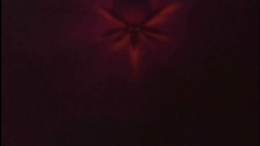 Ghetto anime Princess sucking cock