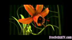 3D Tiny Princess Fucked by Random Objects