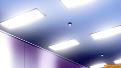 Hard Hentai Blowjob Part1