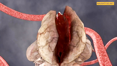 Teen Gets Fucked Hard by Tentacles Part1