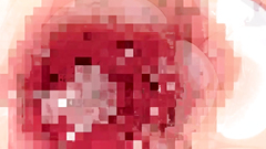 Ane Wa Yanmama Junyuu Chuu